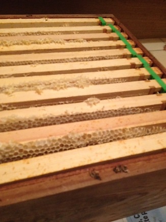 Frames are ready: The super of honey frames before processing